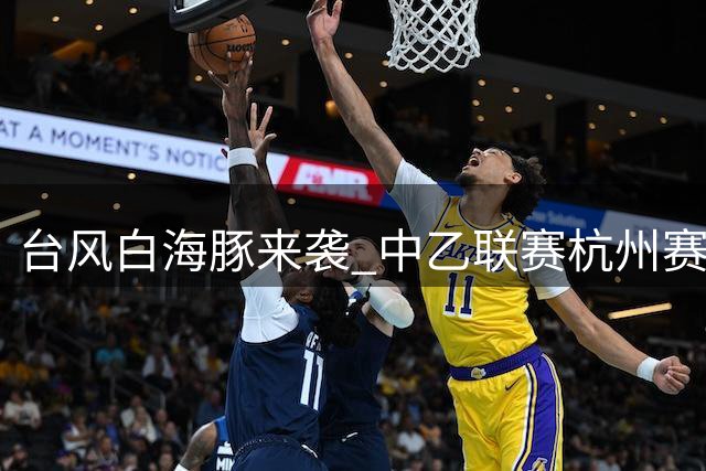 台风"白海豚"来袭 中乙联赛杭州赛区关键战被迫延期