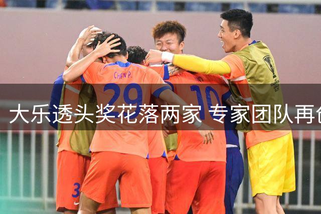 大乐透头奖花落两家 专家团队再创千万佳绩