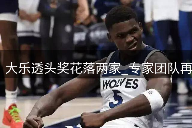 大乐透头奖花落两家 专家团队再创千万佳绩