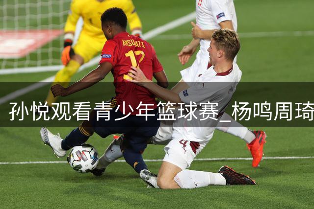 孙悦观看青少年篮球赛 杨鸣周琦携子同场竞技