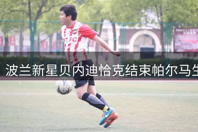 波兰新星贝内迪恰克结束帕尔马生涯 正式加盟土超劲旅卡斯帕萨