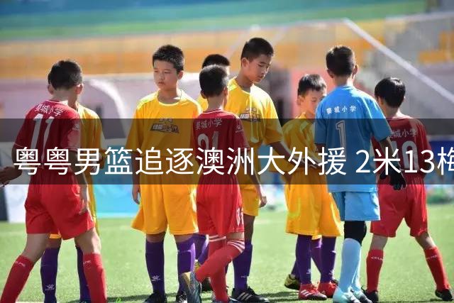 粤粤男篮追逐澳洲大外援 2米13梅克或成内线补强关键